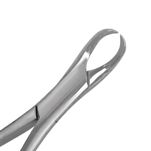 Pinzas de Extracción Dentales Americanas # 23 Palas de Extracción de Dientes de Acero Inoxidable con Mango de Pitón Hueco Dorado, Manuales, Certificadas CE - Product Image 4