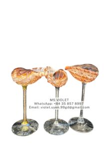 Copas de cóctel de concha marina hechas a mano, con tallo largo, decoración costera, juego de copas de vino de 0.75L de capacidad, 6-10 piezas para fiestas en la playa y bares en casa. - Product Image 2