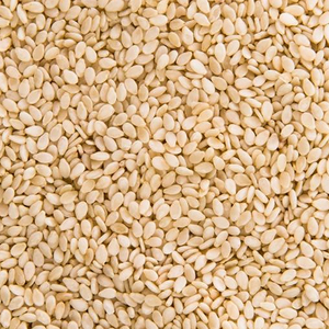 Graines de sésame naturelles brutes en gros, graines entières blanches, ingrédients alimentaires en vrac pour produits de boulangerie, pâtes de tahini, cuisson et huiles - Product Image 2