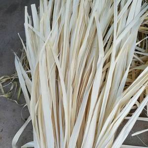 Venta al por Mayor de Hojas de Palma Secas Borassus Flabellifer en Paquetes de 10kg y 20kg, Proveedor de Materia Prima a Granel de Vietnam - Product Image 6