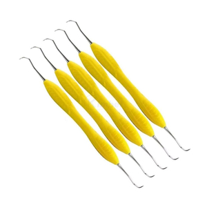 Stainless Steel Dental Scaler Hygiene Instrument Dental Scraper And Mouth Mirror Teeth Cleaning Sets By Innovamed - Product Image 6