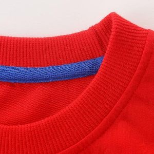 Sweat-shirts décontractés pour enfants en molleton doux, vêtements de sport pour usage quotidien, fournisseur exportateur, sweat-shirts streetwear pour enfants en coton premium - Product Image 6