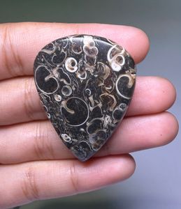 หินอาเกต TURRITELLA แบบคาโบชอง ขายส่งเป็นล็อตตามน้ำหนัก มีรูปทรงและขนาดต่างๆ ใช้สำหรับทำเครื่องประดับ - Product Image 4