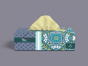 Boîte de mouchoirs en papier facial en pulpe de bambou EcoTurtles Exploration, 2 plis, 200 tirages, doux, biodégradable, pour usage domestique - Product Image 2