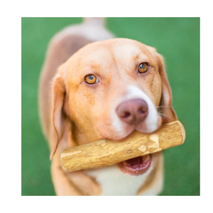 Jouet à mâcher pour chien en bois de café tendance, naturel, pour l'hygiène dentaire - Product Image 4