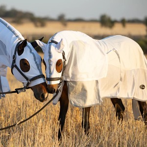 Nouvelle conception d'équipement équestre, couverture de box pour chevaux, couverture personnalisée avec logo, printemps automne, matelassage diamant, meilleure qualité, couvertures anti-mouches pour chevaux - Product Image 2