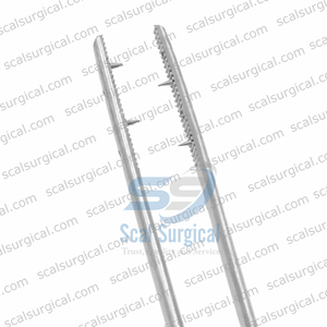 Pinzas Nasales Laterales Inferiores Cottle, Instrumento Quirúrgico de Cirugía Plástica ORL, Herramienta de Cirugía Nasal de Rinoplastia de Acero Inoxidable - Product Image 2