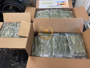 Feuilles de corossol séchées pour tisane, qualité supérieure, feuilles de Graviola naturelles, vente en gros, origine Vietnam, directement de l'usine - Product Image 4