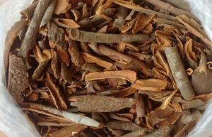 Wholesale High Quality Cassia <b>Cinnamon</b> With Competitive Price From Vietnam - Ms. Kate - Product Image 5