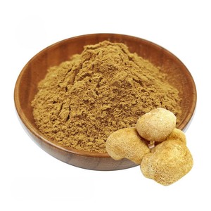 Alta calidad 100% Pure Organic Lions Mane Mushroom Powder Food Grade Bulk Hericium Erinaceus en polvo al mejor precio de la India - Product Image 3