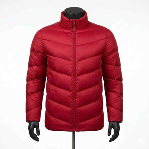 Vestes matelassées pour hommes à col montant, qualité supérieure, disponibles en différentes couleurs - Product Image 1