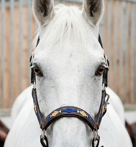 Harnais de cheval en cuir noir HM Global DD de qualité supérieure, durable, élégant, fait main, brodé au fil ciré, type polo. - Product Image 6