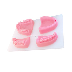 Almohadilla de Entrenamiento de Sutura Dental Veterinaria, Modelo Anatómico de Silicona 3D para Práctica, Instrumentos Veterinarios, Proveedor Mayorista - Product Image 5