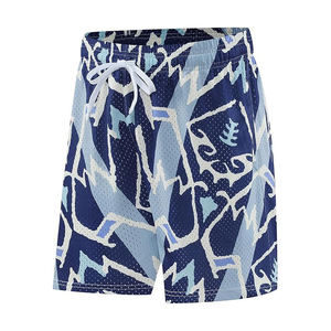 2026 Custom Logo High Street Men's Mesh Sports Shorts Wholesale 100% Polyester Quick Dry Breathable <b>Elastic</b> Waist Pockets Shorts - Product Image 1