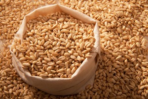 Offre Spéciale : Grains d'orge perlée – Ingrédient alimentaire pour soupes, ragoûts, bouillies, salades, pâtisseries et usage quotidien – Disponible à la vente - Product Image 4