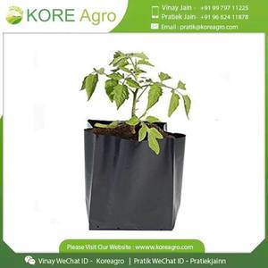 Sacs de culture en tissu non tissé pour plantes, vente en gros d'usine - Product Image 2