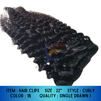 Nuevo Clip para el Cabello 2025, Juego de 4 Piezas, 100gr, Cabello Lacio Indonesio, Extensiones de Cabello Humano Virgen Remy 100%, Longitud de 8"-32"