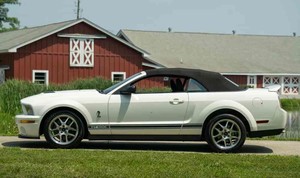 She-lby Mu-st-ang GT500 d'occasion propre de 2007 - Product Image 2