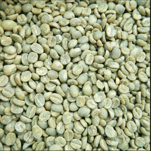 เมล็ดกาแฟเขียว อาราบิก้า เวียดนาม 16 ชนิด บริสุทธิ์จากธรรมชาติ คั่วแบบดั้งเดิม คุณภาพคงที่ สำหรับส่งออก แบรนด์ DHPONE อายุการเก็บรักษา 12 เดือน น้ำหนัก 60 กิโลกรัม - Product Image 4