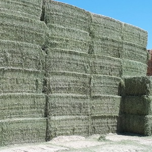 Heno de Alfalfa para Nutrición Ganadera con Hojas Verdes Naturales, Rico en Fibra y Buena Palatabilidad para Uso Diario - Product Image 6