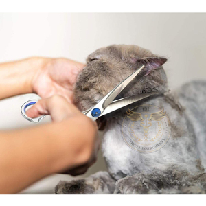 7.5\" Curved Professional Pet Grooming Shears Lightweight Stainless Steel Dog Cat <b>Scissors</b> - Product Image 5