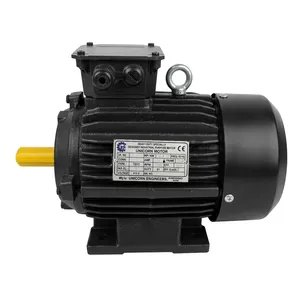 Moteur électrique industriel robuste, moteur Unicorn, triphasé, 2 CV, 415 V, haute efficacité, enroulement en cuivre, design compact - Product Image 3