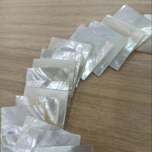 Piezas Brillantes de Madreperla para Componentes de Joyería y Uso Artesanal - Product Image 1