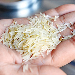 Arroz Basmati Súper Orgánico de Grano Largo de Alta Calidad, el Más Vendido, para Cocinar, de Color Blanco Fino y Delicioso - Product Image 3