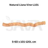 Perchoir pour oiseaux en liane de bois durable et écologique Java L100-120 pour perroquets et oiseaux, fabriqué en Indonésie