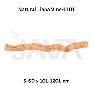 Percha para Pájaros de Madera de Liana Ecológica y Duradera Java L100-120 para Loros y Aves - Product Image 2