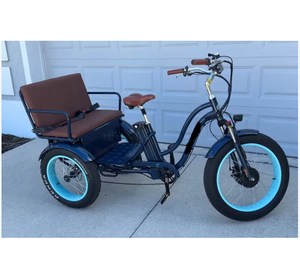 MEILLEURE OFFRE - Tricycles électriques Sixthreezeros EVRYjourney 1000W avec siège passager - Product Image 1