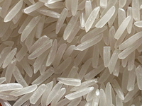 Riz long grain de jasmin du Vietnam séché ST25 de qualité supérieure, 5% de brisures, non-OGM, norme d'exportation, emballage sous vide 1kg 5kg 10kg