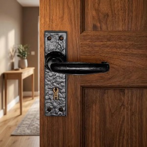 Poignée de porte en fer robuste et moderne la plus vendue, plaque texturée pour porte d'entrée de chambre, orientation ambidextre, installation facile - Product Image 1