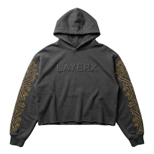 Sweat à capuche pour homme 2026, poids lourd, 500 g/m², en polaire de coton, coupe ample, manches longues, broderie, pull-over streetwear, OEM - Product Image 1
