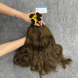 Vietnamese Raw Colored Bulk Human Hair <b>for</b> <b>Braiding</b> Double Drawn No Weft Raw Hair <b>Extensions</b> Soft Silky Natural Look - Product Image 3