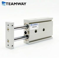 TEAMWAY Cilindro Deslizante Guía Serie GSB/GSU de Doble Varilla, Mesa Neumática de Aluminio con Pistón, Buje Sinterizado y Opción de Rodamiento Lineal