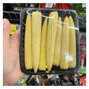 Maíz bebé congelado IQF fabricado con maíz bebé fresco para platos de guisos y producción de alimentos congelados, Vietnam - Product Image 6