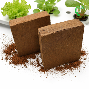 Bloc de cocopeat biologique 5 kg, écologique, faible teneur en EC, tourbe de coco, support de culture durable, fournisseur en gros pour l'exportation - Product Image 1