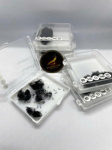 Extensions de cils 3D 4D 5D 6D 8D, bouquets de volume préfabriqués à tige courte, en fibre PBT imitation vison, noir mat foncé, plateaux d'extensions de cils PBT - Product Image 4