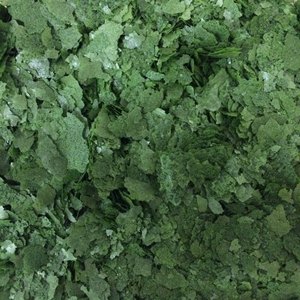 Extrait d'herbes de qualité alimentaire, poudre de spiruline, complément alimentaire, soutient la santé cardiaque et immunitaire, export en vrac d'Inde - Product Image 6