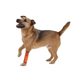 Fundas Protectoras de Neopreno Reflectantes para Mascotas, para Protección y Fijación de Articulaciones - Product Image 2