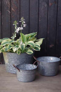 Galvanized Metal <b>Plant</b> Pot Outdoor Garden Planter Rustic Style Decorative Container for Herbs and <b>Plants</b> - Product Image 3