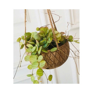 Maceta de Coco Hecha a Mano, Ideal para Cultivar Plantas y Agregar un Toque Rústico a tu Espacio, Maceta Tropical de Coco para Cultivos Orgánicos - Product Image 2