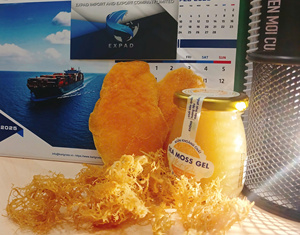 500g EXPAD Natural <b>Dried</b> Sea <b>Moss</b> from Vietnam - Product Image 6