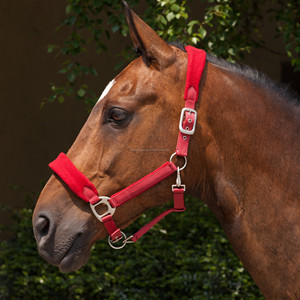 Vente en gros Nylon cheval licou sangle solide couleurs personnalisées et Logo accessoires de soutien matériel collier de tête - Product Image 3