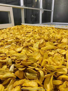 Tranches de Jackfruit Séchées AD, Douces et Croustillantes, Préservées dans une Saumure, Emballage Sous Vide, Snack en Vrac, Vietnam Bio, 1kg, Chips de Fruits Conservés - Product Image 3