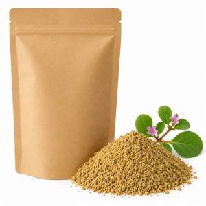 Fournisseur mondial d'extraits botaniques, poudre d'extrait de Boerhaavia Diffusa, ingrédient à base de plantes de qualité supérieure pour les produits de bien-être, OEM - Product Image 2