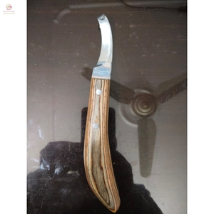 มีดตัดแต่งกีบม้า ด้ามไม้ จับถนัดมือ พร้อมห่วงขนาดใหญ่ มีดตัดแผลโค้ง ใบมีด D โค้ง สแตนเลส - Product Image 3