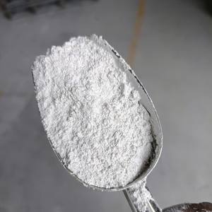 Cal hidratada en polvo de grado industrial premium (93-98% de pureza) Techmicom TMCS_HLP250 250 Mesh Suministro directo de fábrica Vietnam - Product Image 1