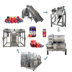 Fruchtverarbeitungsmaschine Fruchtmarmelade-Produktionslinie Fruchtpürée-Maschine Konstruktionsproduktionslinie